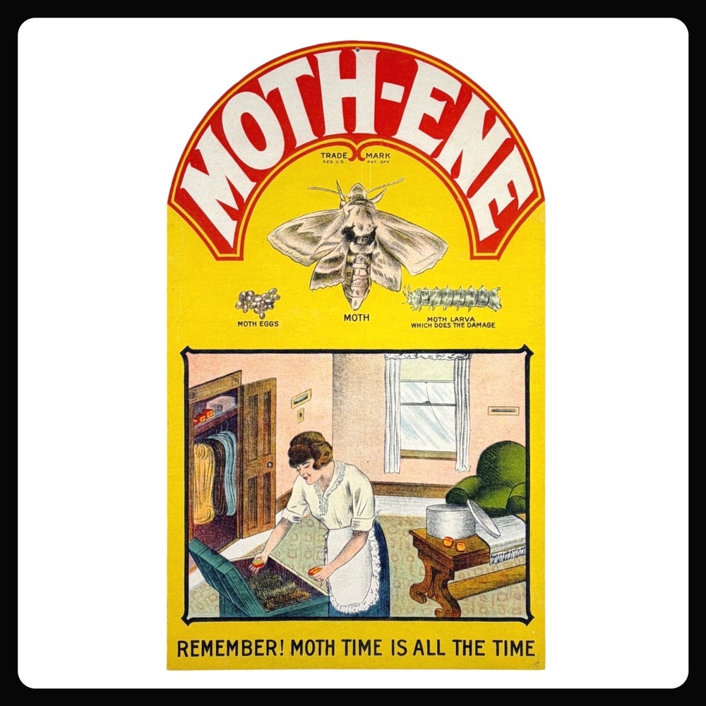 1930s Moth-ene Vintage Advertising Sign 20" Cardboard Store Display Bug Insect
